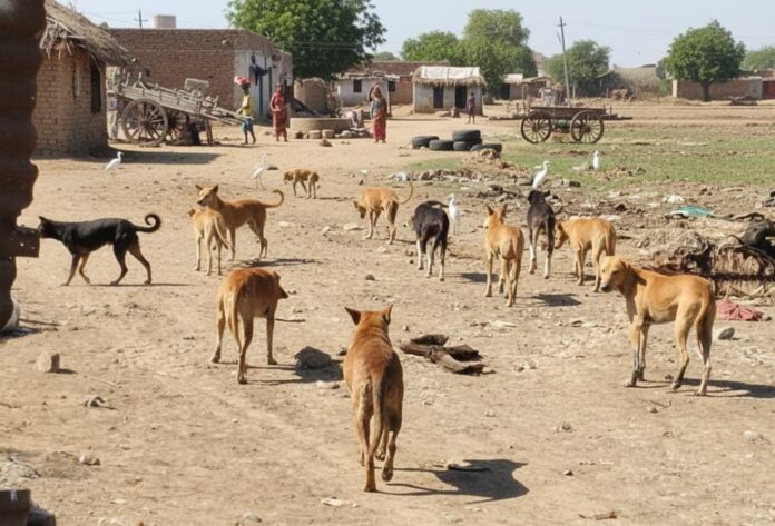 691476de-2519-4cf2-bf74-5ce2d0f04571