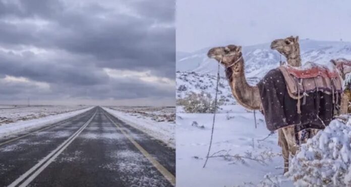 WhatsApp Image 2025-12-25 at 6.10.05 PM