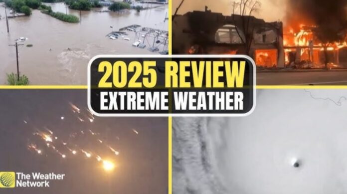 WhatsApp Image 2025-12-30 at 1.19.28 PM (1)