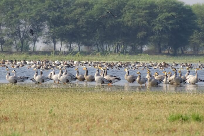 WhatsApp Image 2025-12-30 at 4.29.09 PM