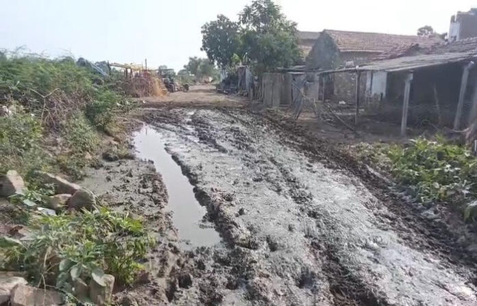 content_image_04e59456-910d-48b1-91f4-c437cb1b9d48