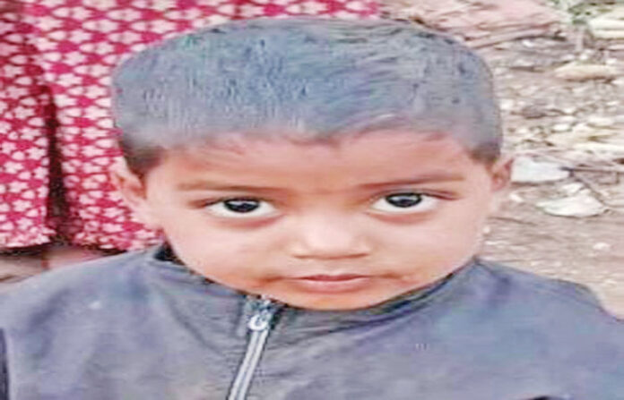 content_image_0f9c86e5-f802-42a0-b119-fad88bb623f7