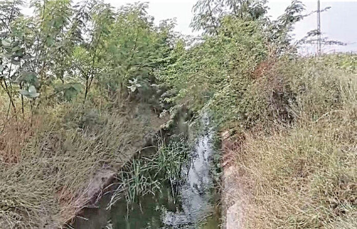 content_image_1aa4530d-49b1-4bd0-9b9b-59af257a5873 (1)