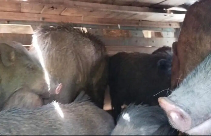 content_image_1c0c7561-1257-477a-b047-298de43c8b09