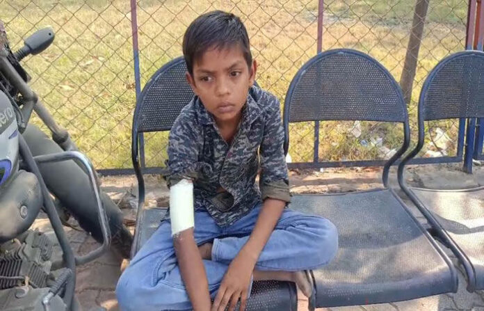 content_image_1e1af764-4ae9-4c9d-92b8-7da27356ce99