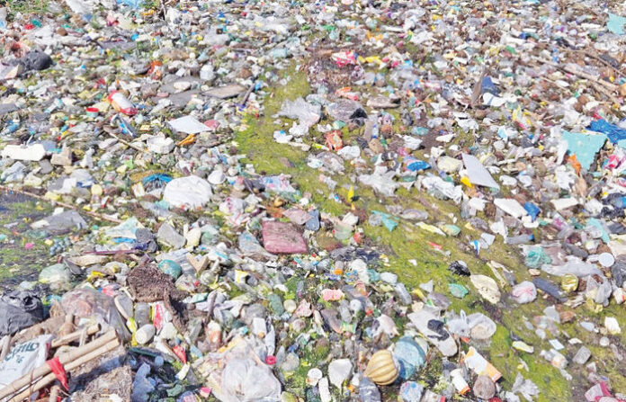 content_image_22f4732f-f827-4c89-bc7e-f7648f62300f