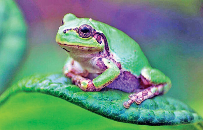 content_image_2403fbc5-1004-4377-8f8f-c47eb5fad3b0