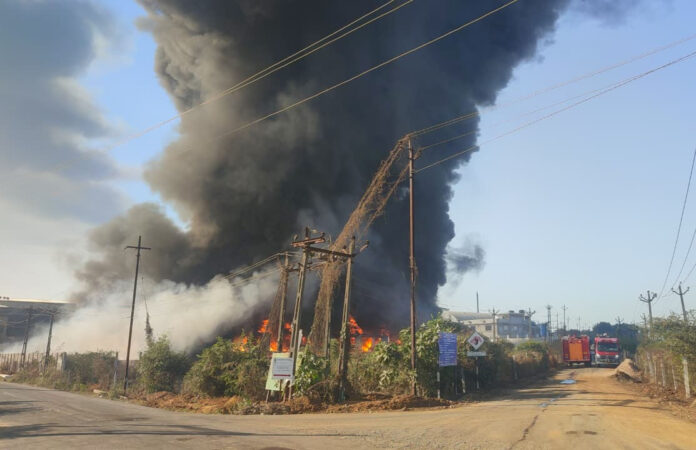 content_image_2418afe2-66e0-420d-881b-51d7592630e5