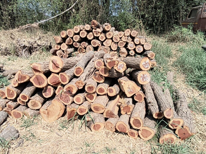 content_image_24462bcd-2136-4acb-8397-d6c12de3fac2