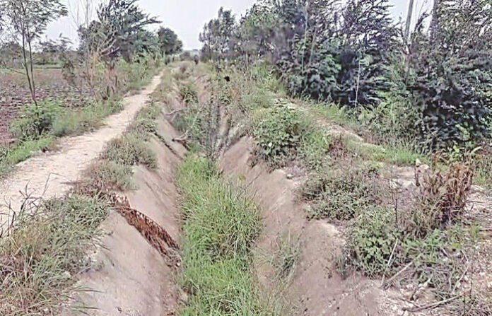 content_image_2c44a3ff-0126-49ca-9838-ec27445c620e