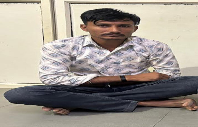 content_image_2ddbccbf-a2dc-4761-a4a0-0ba14b539a2f