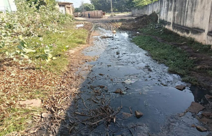 content_image_3d925104-737d-4c6b-9c06-d6f03311bc13