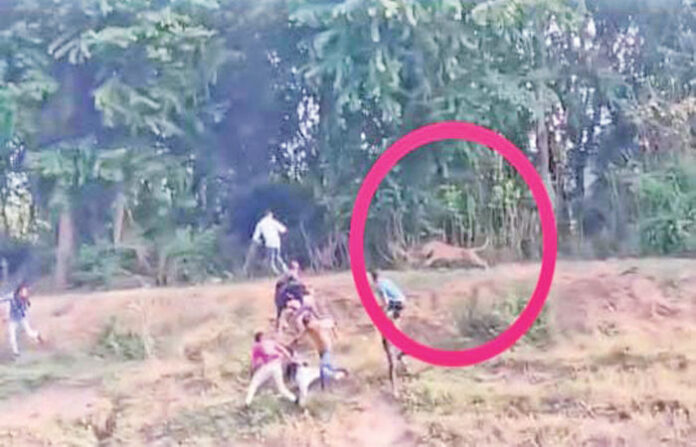 content_image_3e123a6f-a47b-46b5-ba48-02717e8f2875