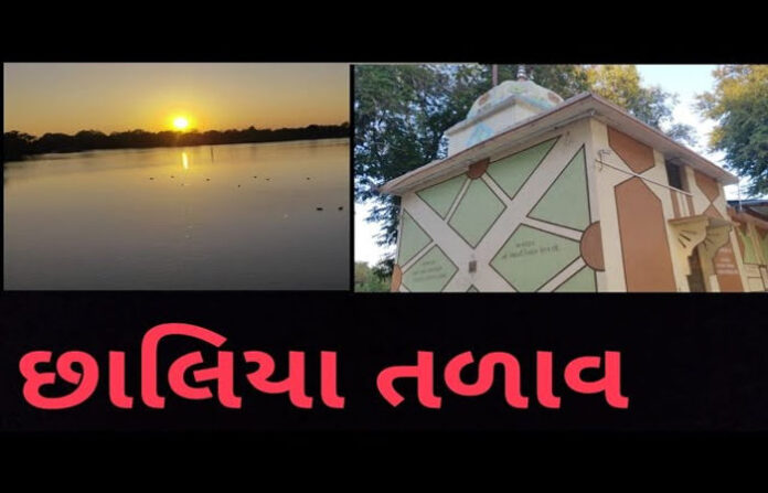 content_image_486fe4a3-3af8-4dbe-968a-f6dffb6d0449