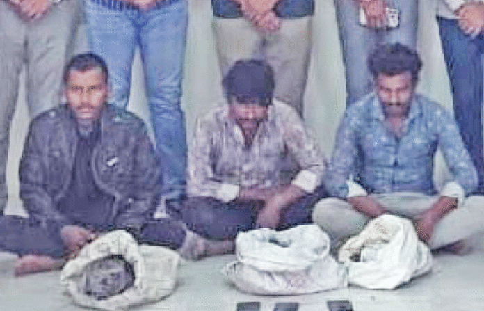 content_image_4954e8e3-db18-43e6-8782-b397e6fd24ae