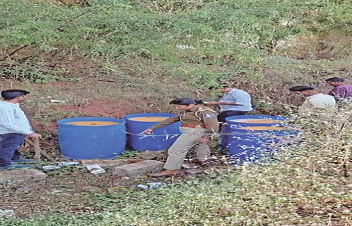 content_image_6d742a5b-cf9f-4289-b93d-5c446c2edced