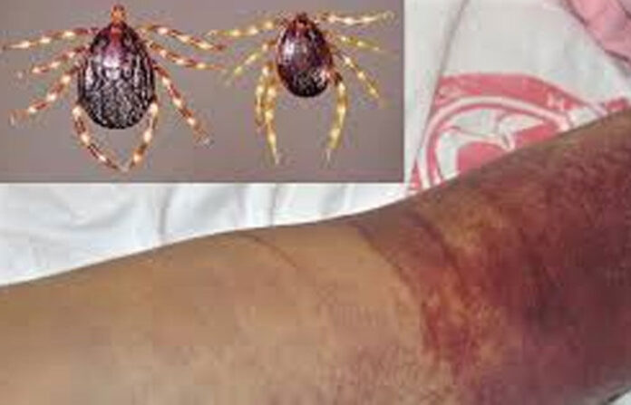 content_image_6df71e26-9b47-4900-bf1a-6a008a1cb161