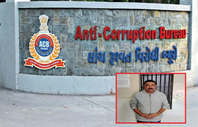 content_image_72b2e5aa-06df-42e1-bfd2-2ca110a0c704