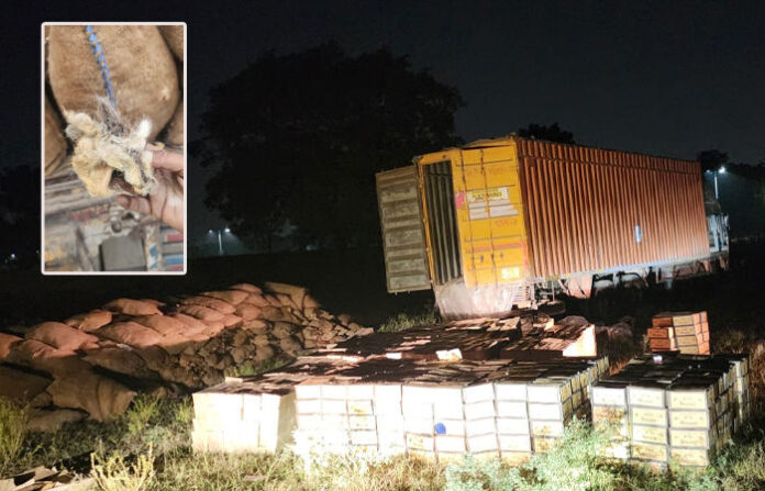 content_image_7d2f1dc8-f494-457b-8805-da31ec34dffe