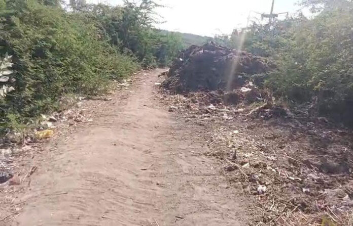 content_image_83b750eb-523c-42f6-9cce-feeab646da18