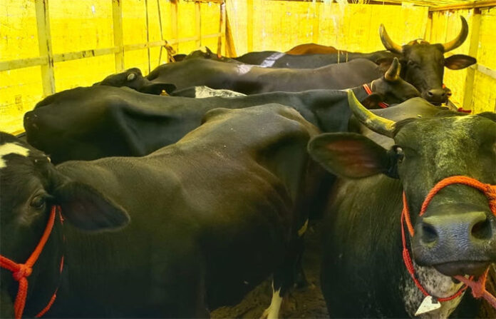 content_image_8470fa99-fbd0-4c01-be5b-5304999a2937