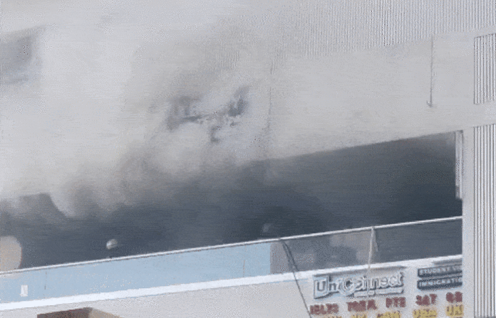 content_image_87c80d86-903b-47b5-a82b-2c7dec0de368