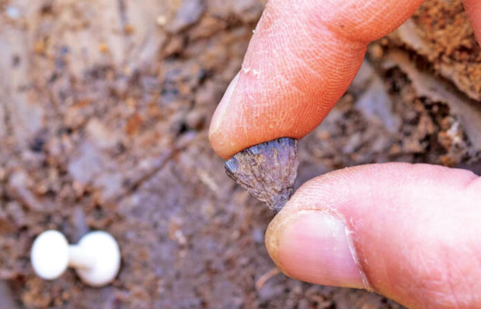 content_image_88713fd1-969a-4584-a535-caab6f078794