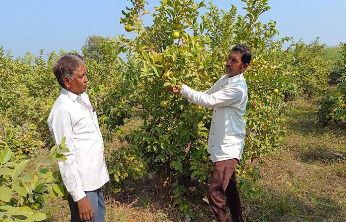 content_image_9d0c804f-b17f-4701-8e5a-f9e96f047ef8