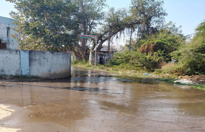 content_image_9f8eecef-18ba-4c17-a5dc-4016b9859f96