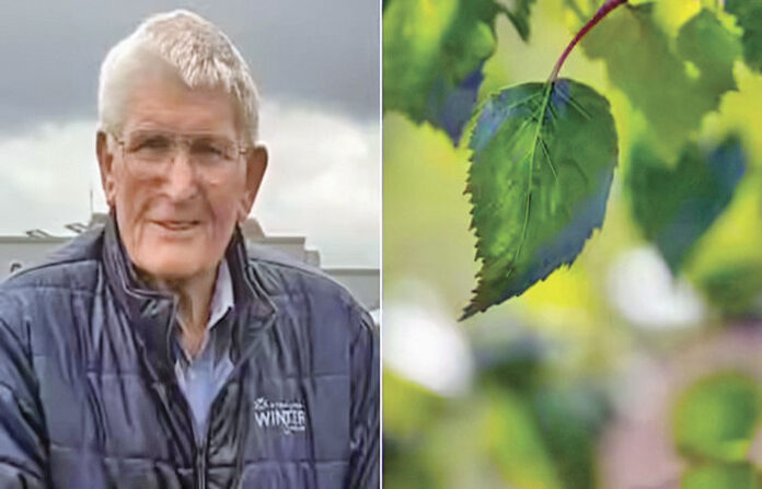 content_image_ab7d7649-b257-4356-861e-26a6aa4ba5ef