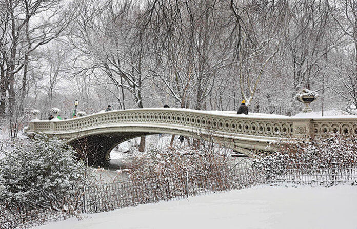 content_image_b31c89a0-11d0-45a1-ab25-5c8917696504