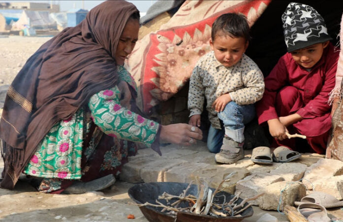 content_image_baaa80e4-d0ef-4a4d-aa75-f434e4746c2b (1)