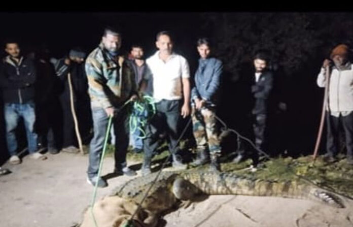 content_image_bd28906e-0c8c-4d45-ae50-e926660fdb75