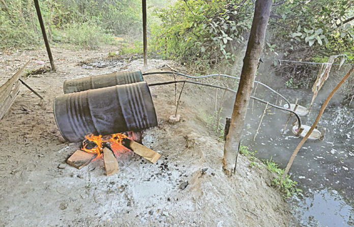 content_image_bd57699e-f7d0-4569-86c5-d145d9689758