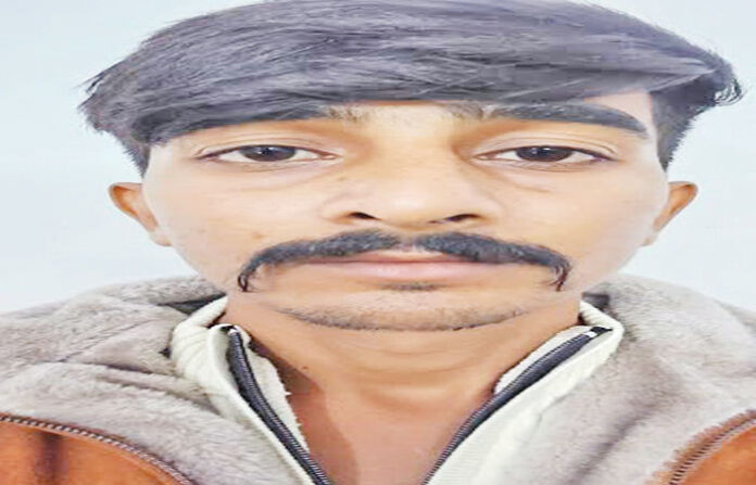 content_image_c5799e3a-8b6d-4810-8a2f-8f78f3666c1b