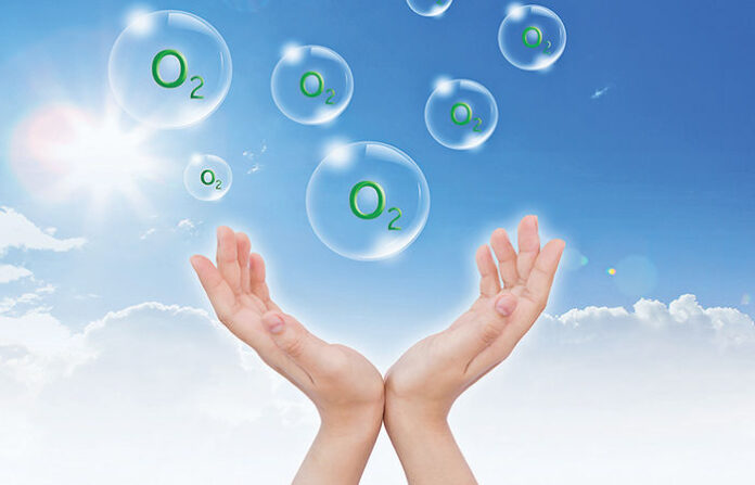 content_image_c687877e-b700-484c-a66b-66bcb11872a0