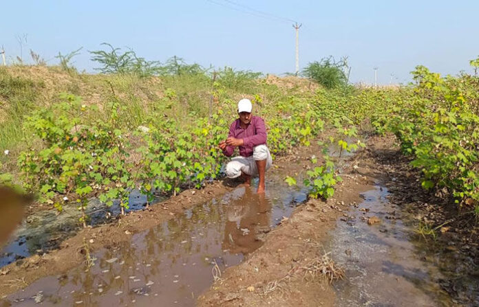 content_image_c75c5bcb-d05f-46c5-843f-a236bd15687f