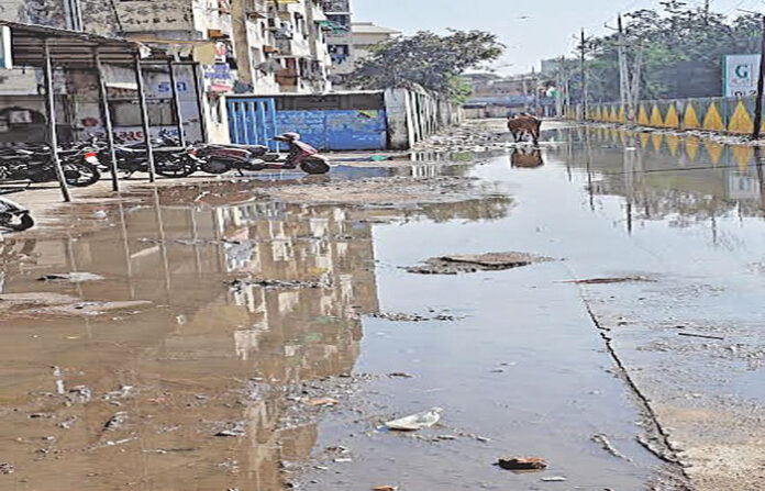 content_image_c96a2fb9-6aec-40c6-a226-2dd9aa808de6