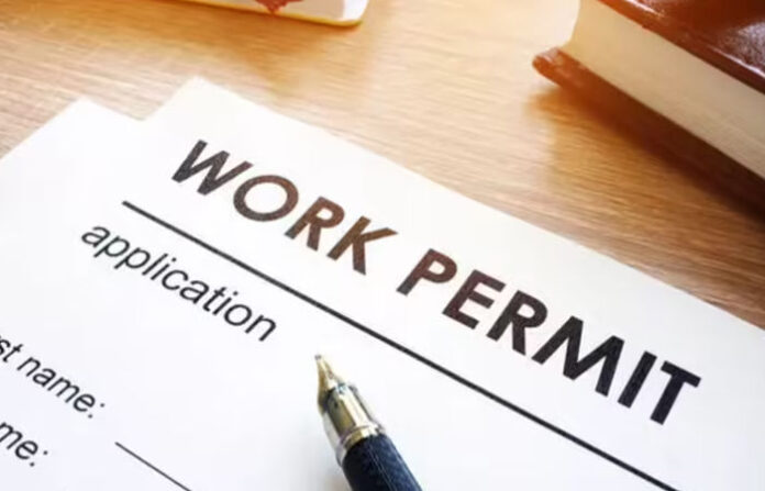 content_image_cbe945f6-8178-4289-8be4-7d634f356cef