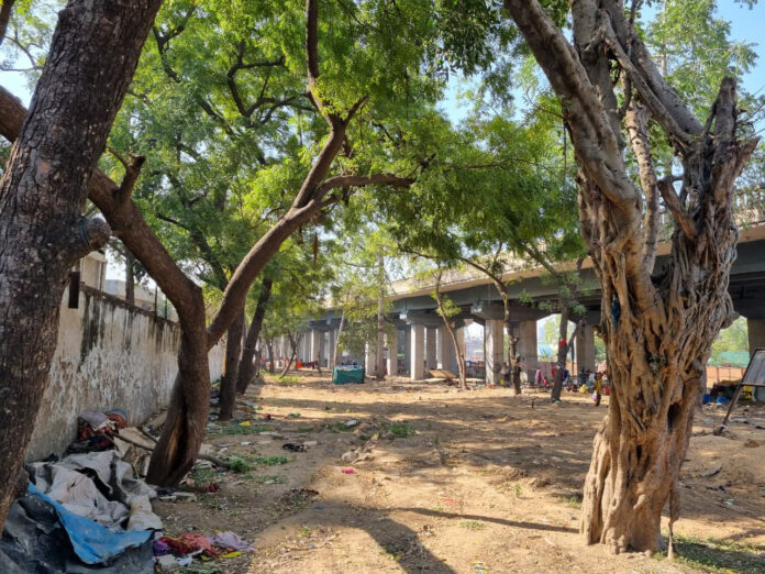 content_image_cd3bd7ed-02f6-4d04-984e-380ccff1b01c