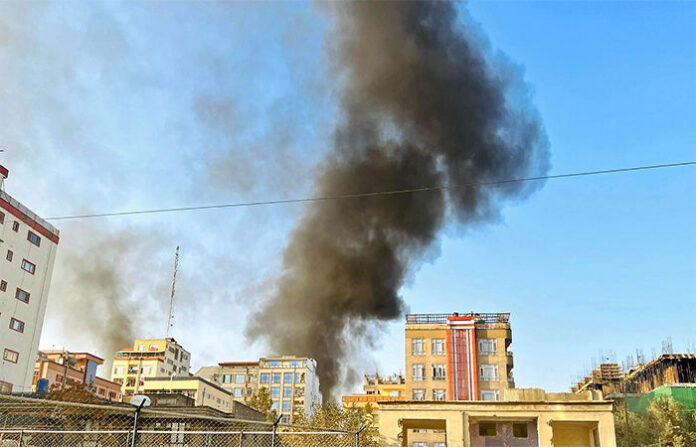 content_image_cd61347a-5fff-4bb3-9851-d6fce24d28d7