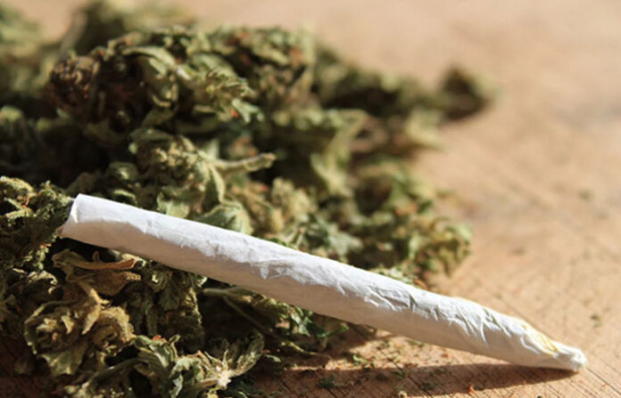 content_image_d916c708-e3af-452b-8594-8b5b708f8240