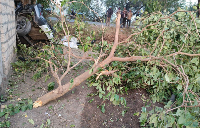 content_image_de8f49e2-139d-46fe-8681-111000c55fa5