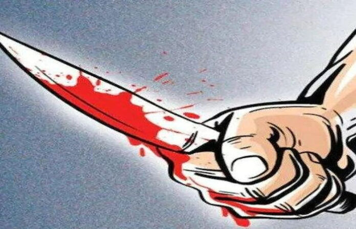 content_image_e0b90bc0-6e8f-4202-928b-510aaea684d8