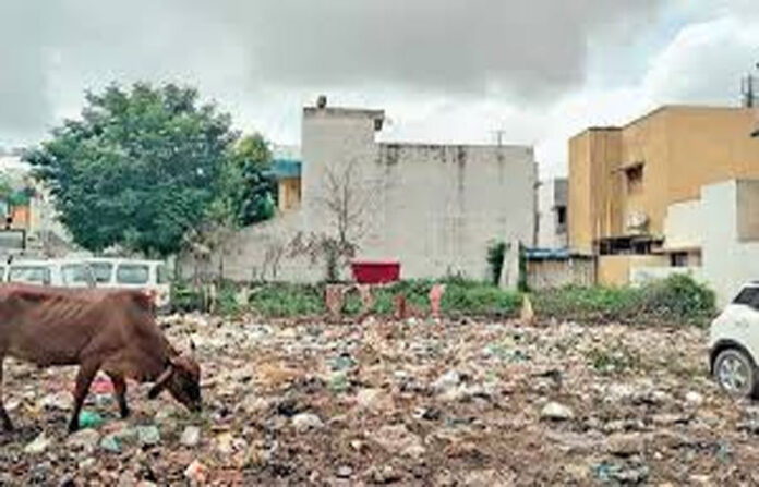 content_image_e43aad2b-21b3-4168-a101-dc3438224f9e