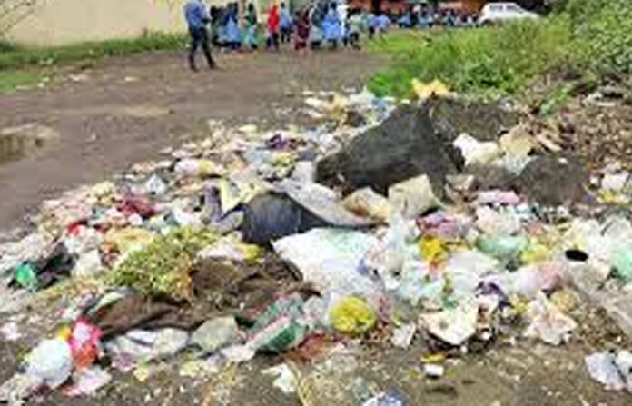 content_image_e47e66c7-ef52-459a-bc35-50811c570665 (1)