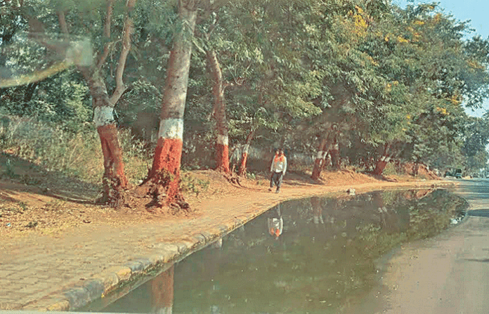 content_image_e8f3627f-63a9-433b-a5c5-8029d5a6790d