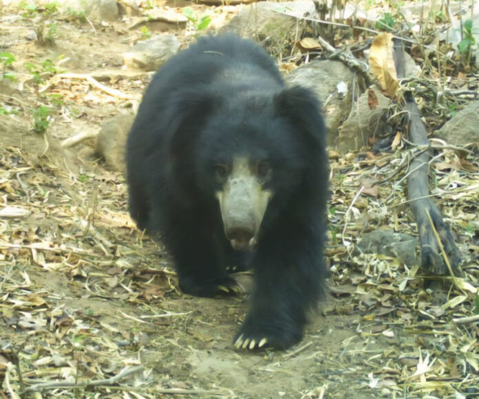 content_image_ecf7ed70-3ec6-4371-8e89-c809b57045bc