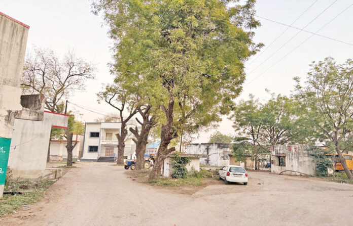 content_image_ee4b721d-2c13-48bc-84e7-6275b3479fa2