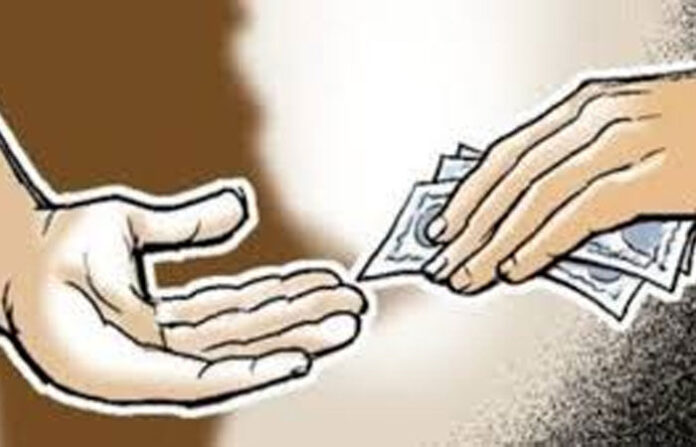 content_image_faadb422-2734-4b8a-b02d-eddab24b29bf